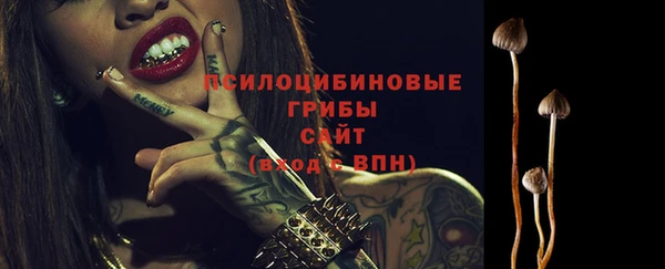 spice Волоколамск